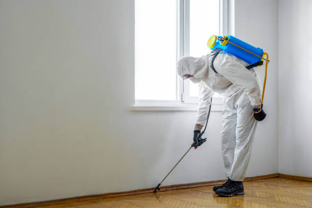 Best Wildlife Control Services  in Whitwell, TN