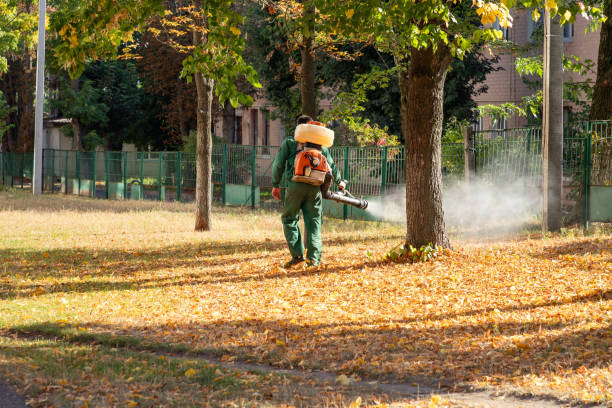 Best Wasp Removal Services  in Whitwell, TN