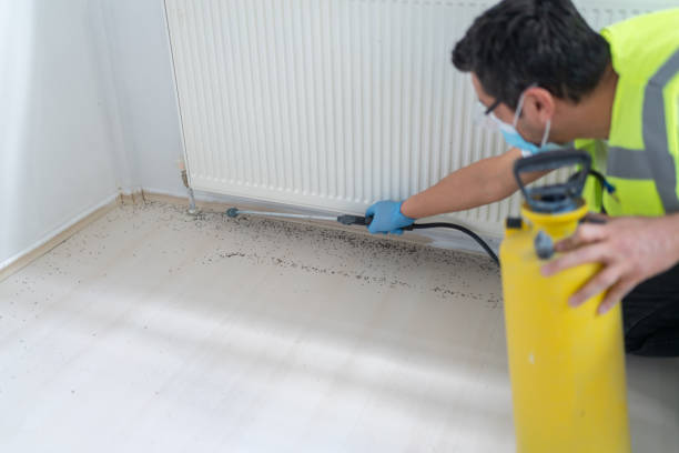 Best Mosquito Control Services  in Whitwell, TN